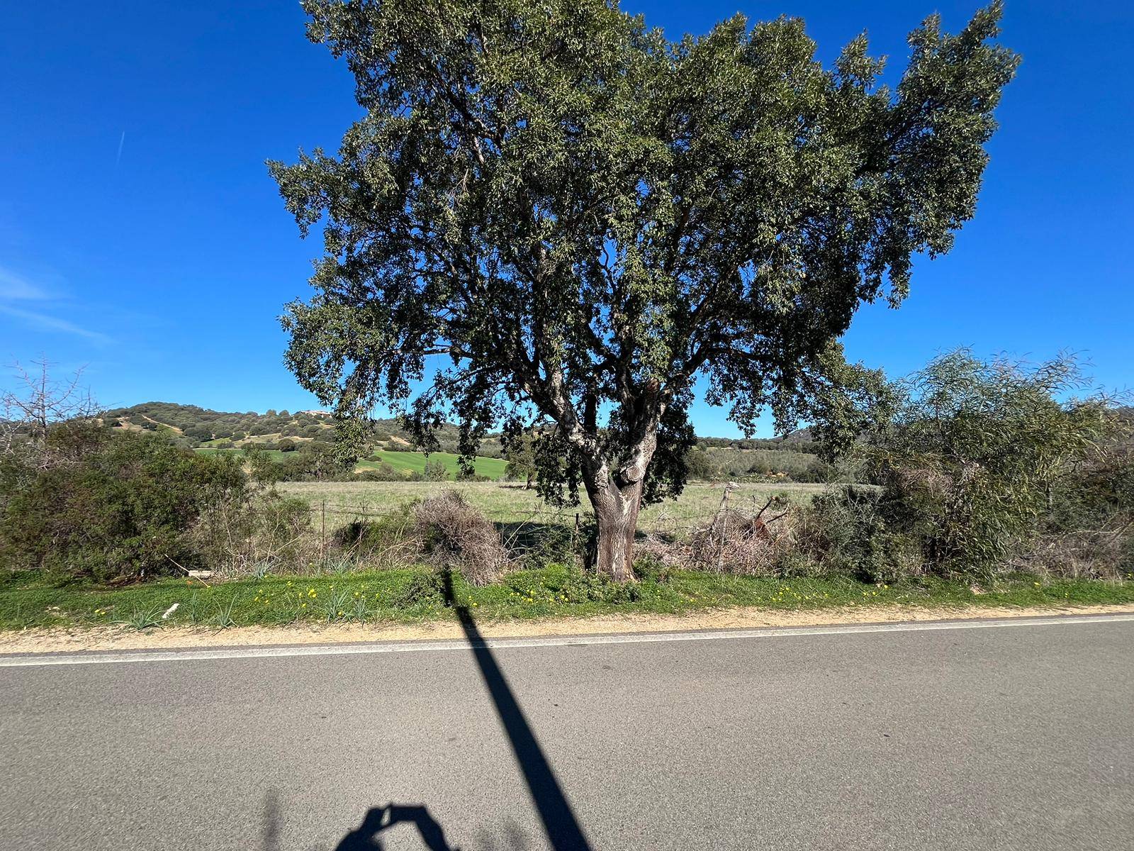 Terreno edificabile a Castiadas